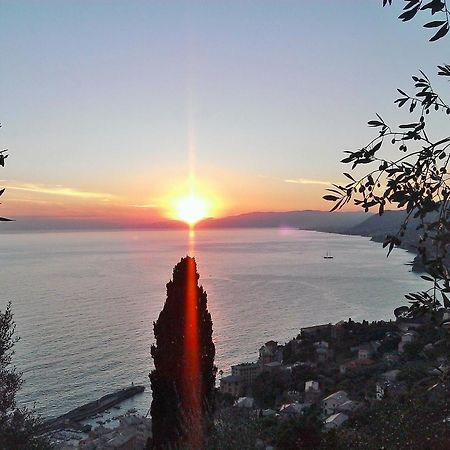 Villetta Sul Mare カモーリ エクステリア 写真